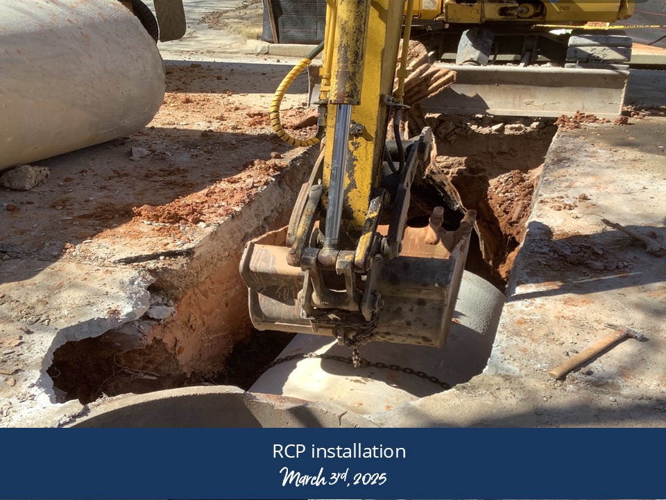 20250303-20sae-old-ivy